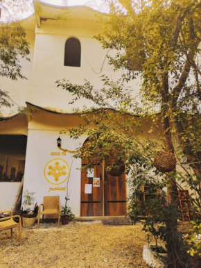 ama-gi holistic